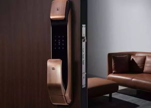 智能門鎖簡(jiǎn)介 智能門鎖的技術(shù)分哪幾種,你清楚嗎