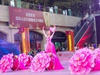 上海演出節(jié)目經(jīng)紀(jì)公司 藝術(shù)與市場的完美橋梁